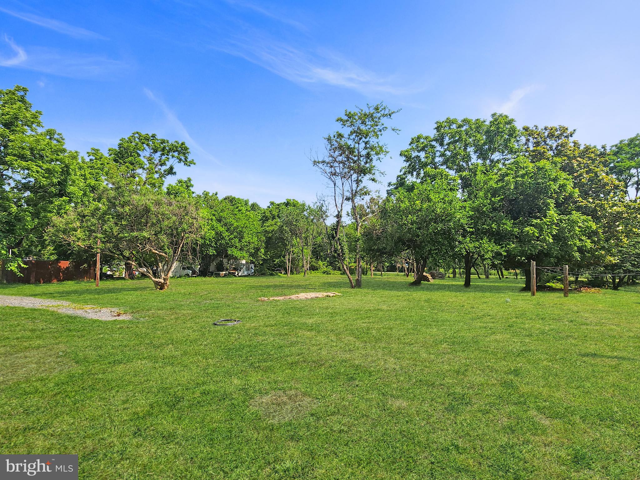 30181 Temperanceville Road Temperanceville, VA 23442 - Photo 40 of 41 a big yard with lots of green space and trees