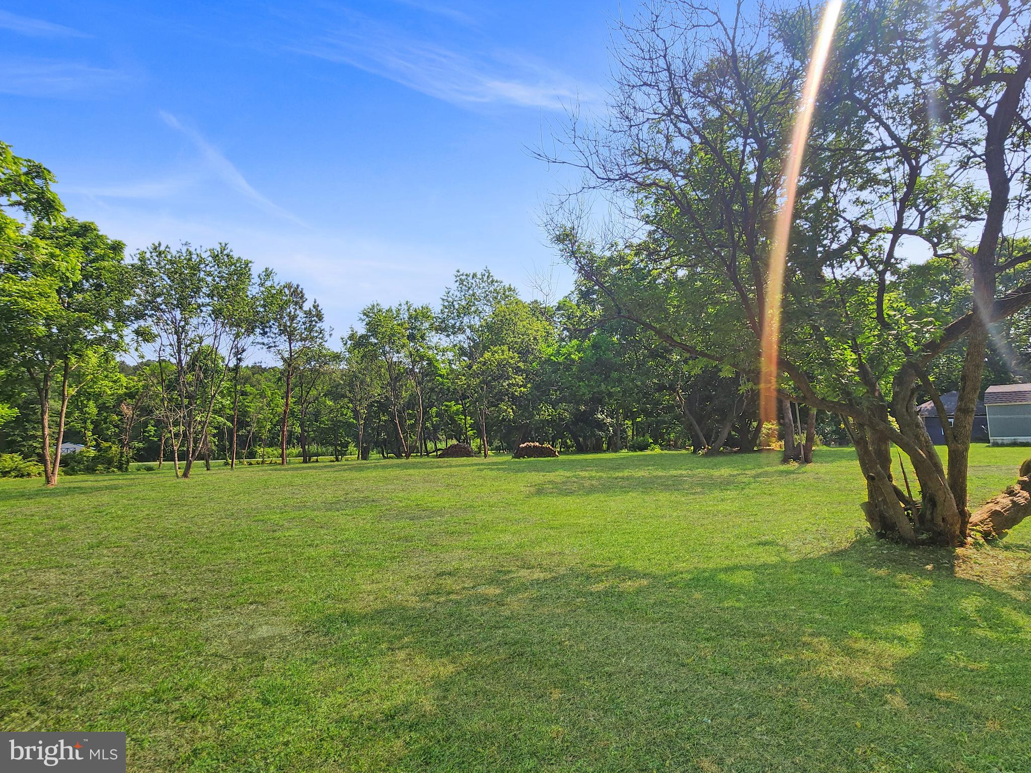 30181 Temperanceville Road Temperanceville, VA 23442 - Photo 41 of 41 a view of a grassy field with trees