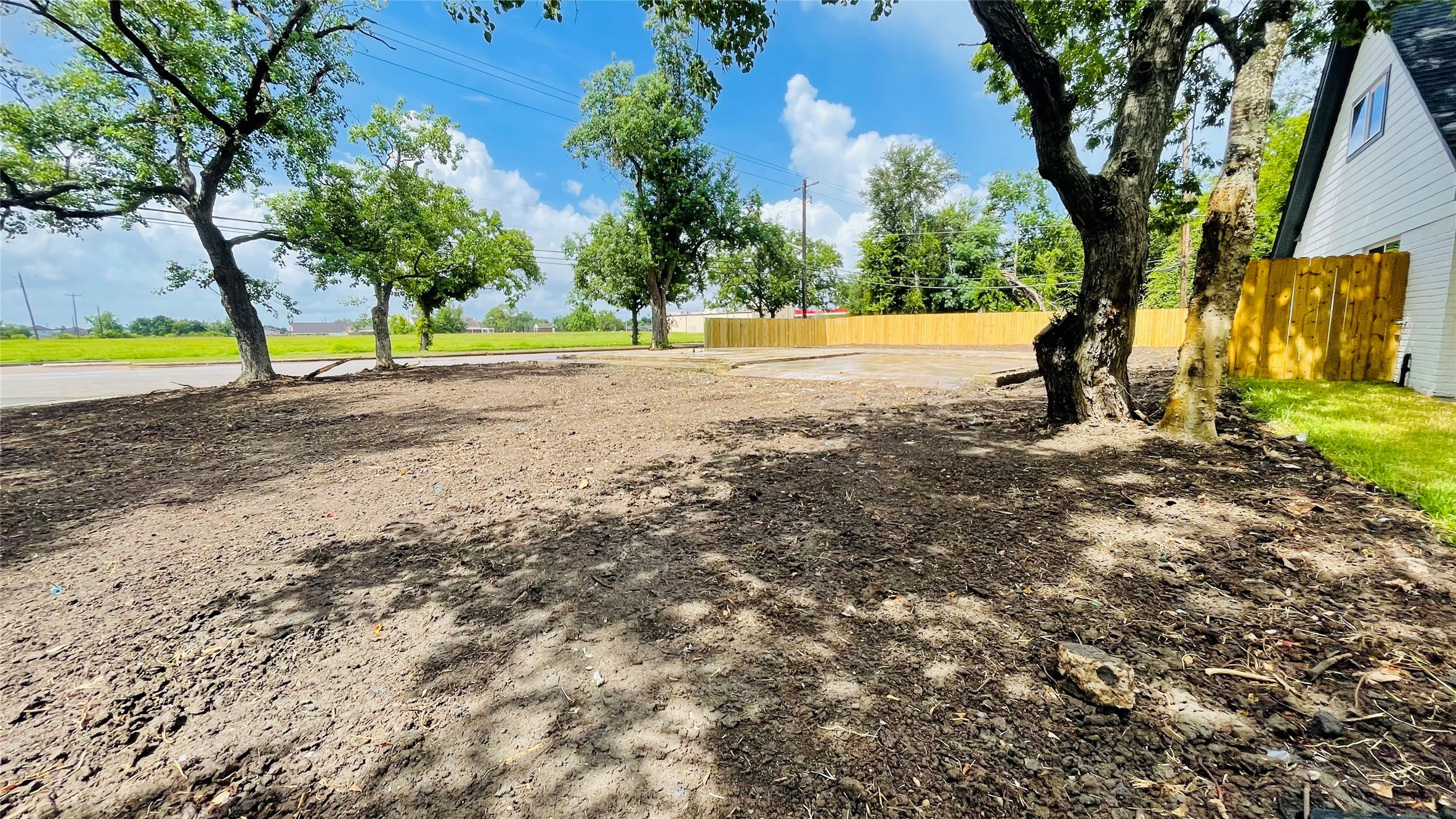 5622 Grace Point Lane Houston, TX 77048 - Photo 5 of 6 a view of backyard with tree