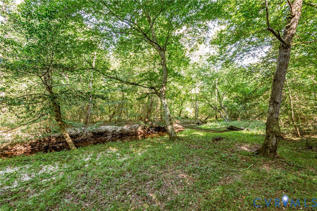 0 Barnetts Road Providence Forge, VA 23140 - Photo 8 of 37 Wooded grounds featuring a natural creek bed, matu