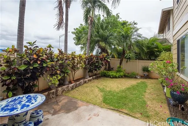 a view of backyard with potted plants and palm tree