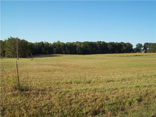 0 Denny Road, Unit 1 Dickson, TN 37055 - Photo 1 of 2 Gallery Image 1