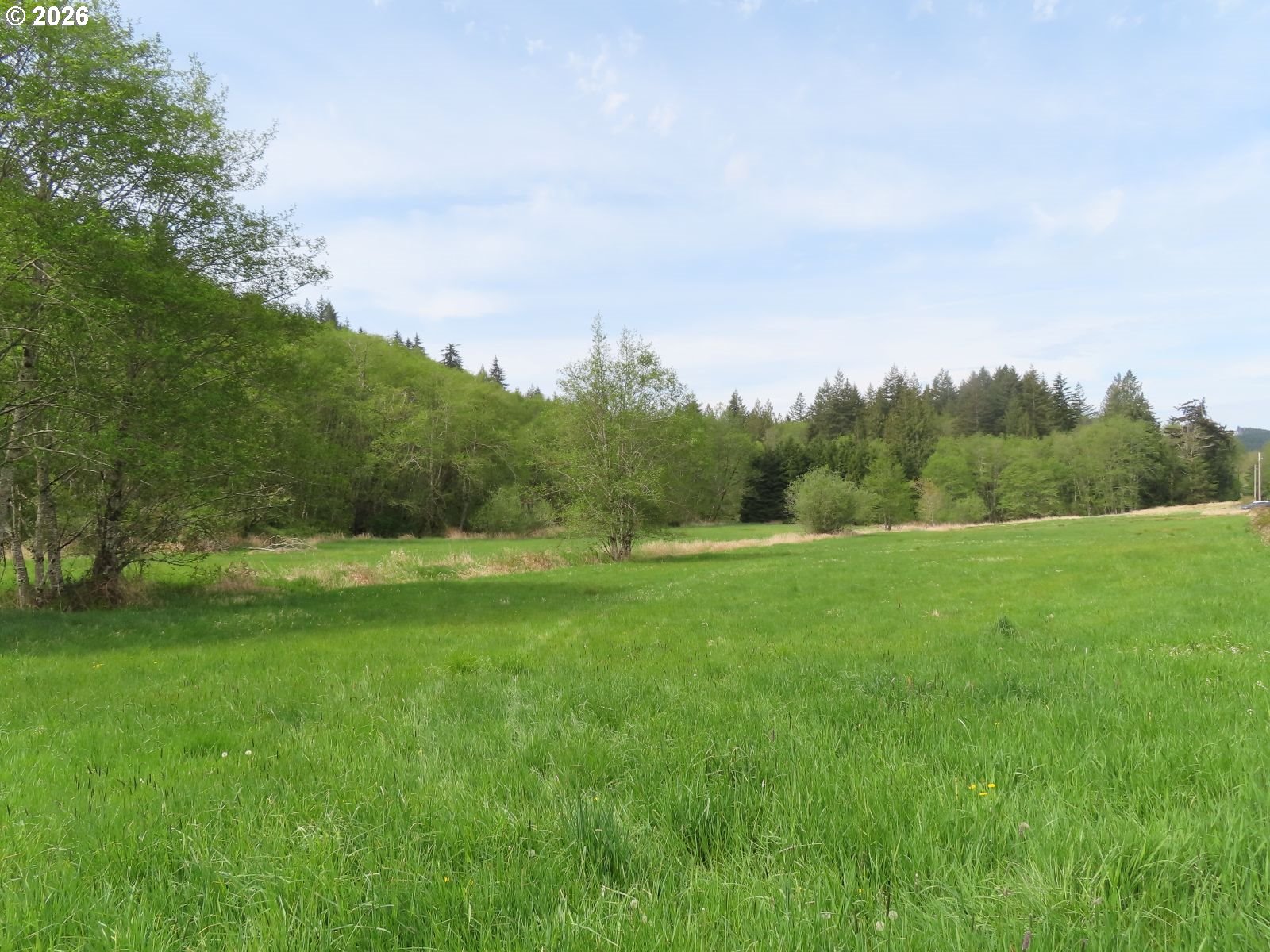 Hagen Road Mossyrock, WA 98564 - Photo 3 of 29