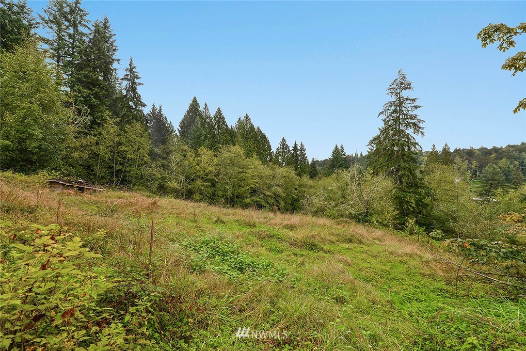 20431 Welch Road Snohomish, WA 98296 - Photo 23 of 25 a large tree is standing in the middle of a yard
