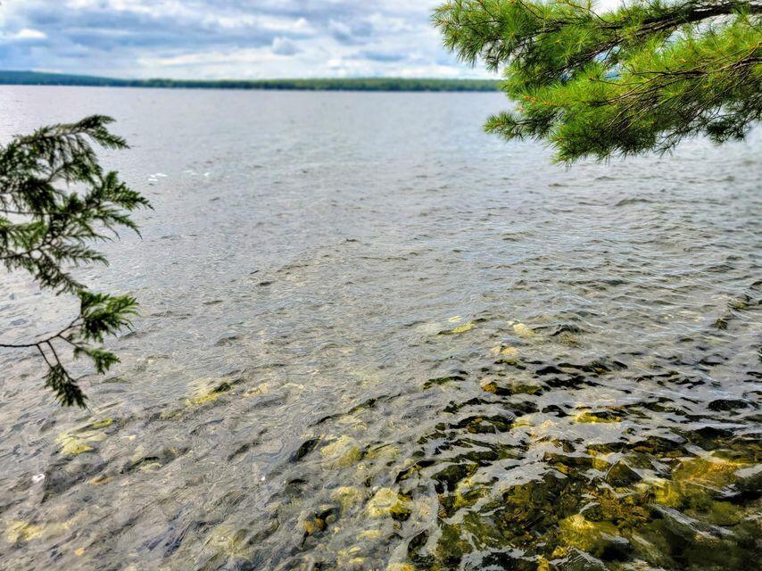 1 Railroad Bed Rd Lake View Milo, ME 04463 - Photo 1 of 27 Water pic