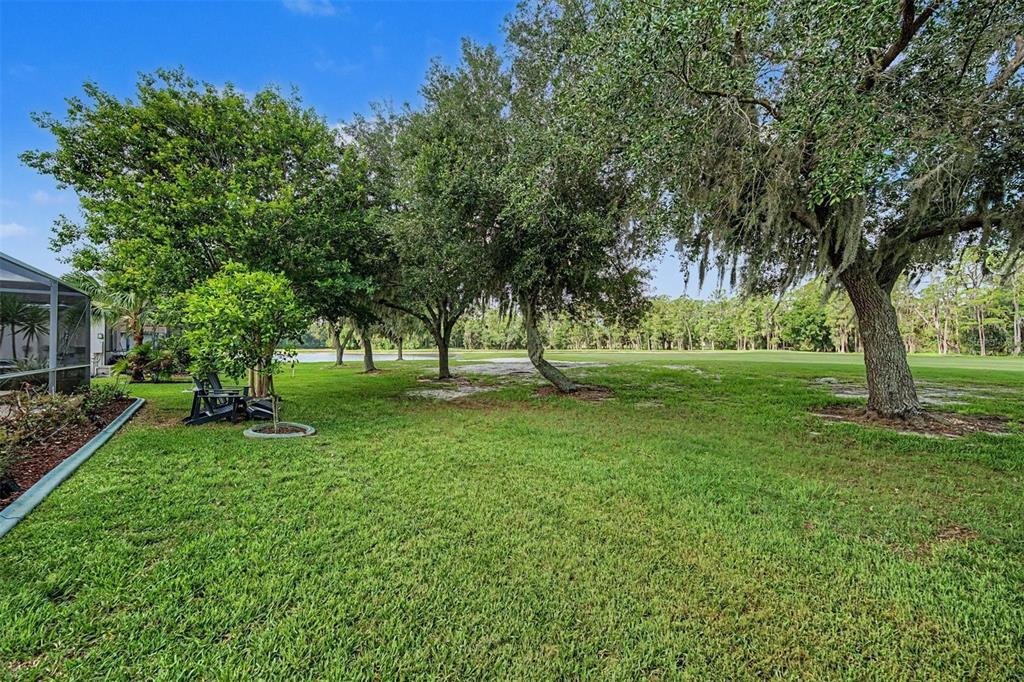 1331 Trimaran Place Trinity, FL 34655 - Photo 27 of 54