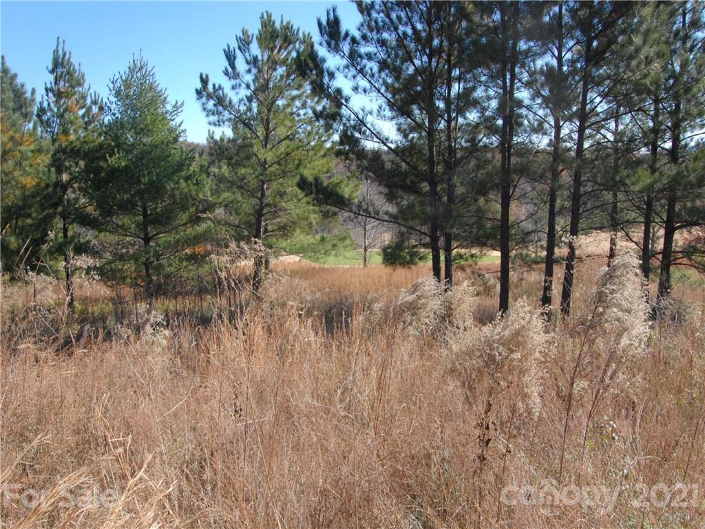 129 Cumberland Rd Mill Spring Mill Spring, NC 28756 - Photo 2 of 4