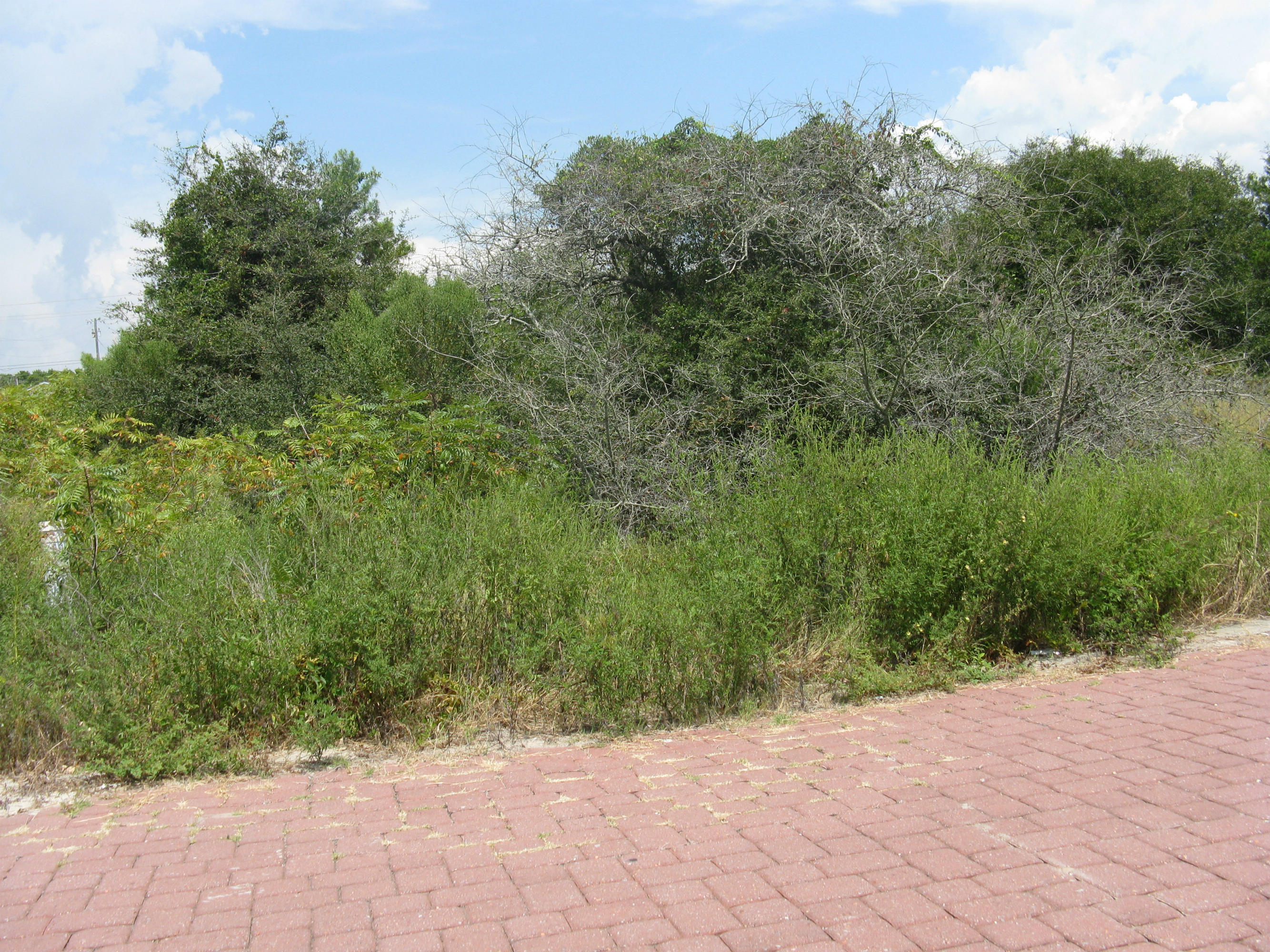 Lot 1 Tidewater Inlet Beach Inlet Beach, FL 32461 - Photo 1 of 1 Gallery Image 1