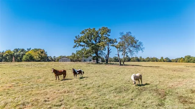 a view of an house with backyard and sitting area
