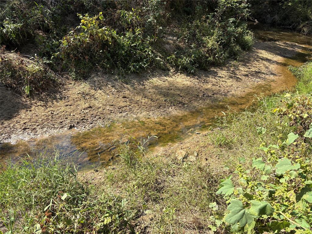 1094-2 Southwest Sw Cr Saltillo, TX 75478 - Photo 33 of 39 a view of a yard with a tree