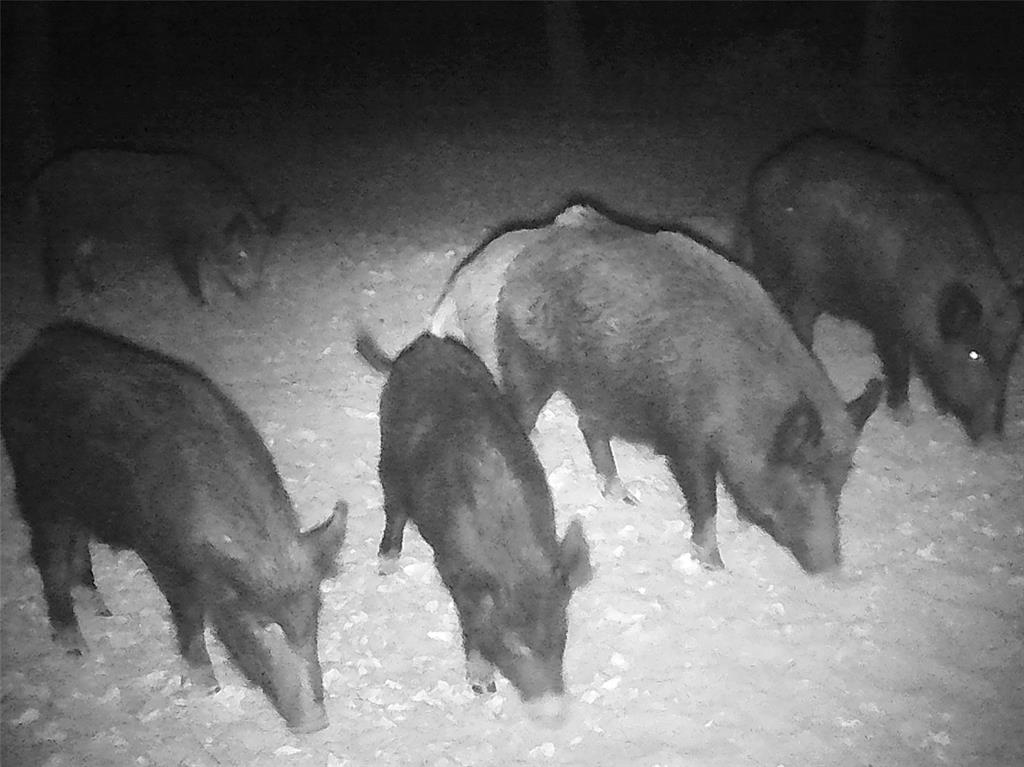 1094-2 Southwest Sw Cr Saltillo, TX 75478 - Photo 37 of 39 a closeup of a fireplace