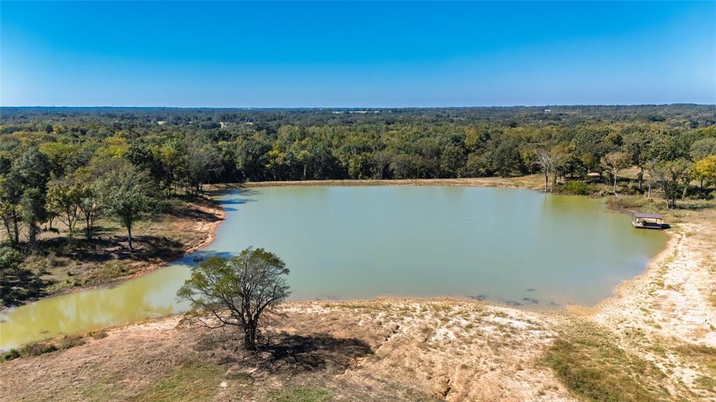 1094-2 Southwest Sw Cr Saltillo, TX 75478 - Photo 8 of 39 a view of a lake in middle of a city