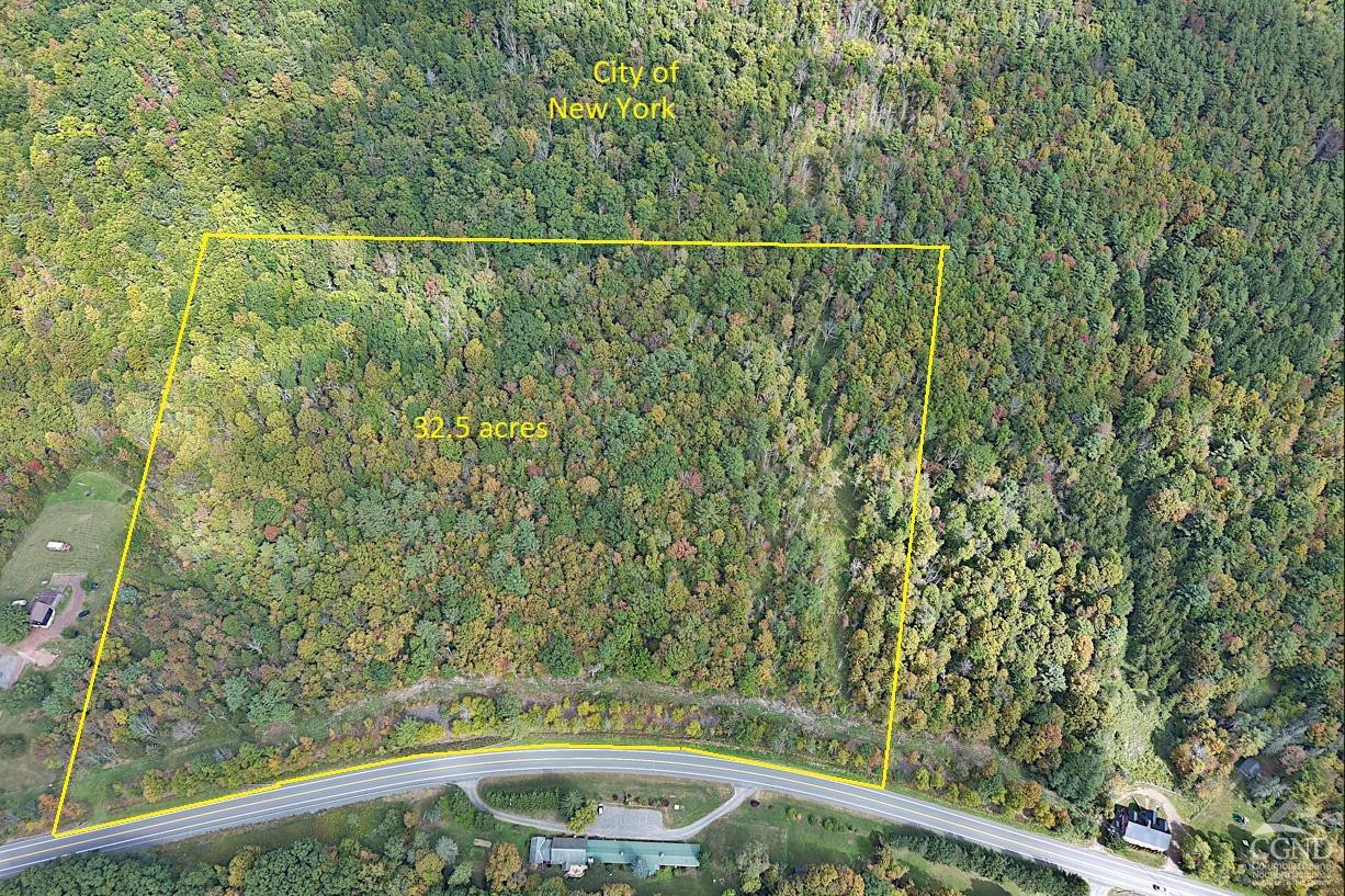 0 Route 23a Road Prattsville, NY 12468 - Photo 3 of 18 Photo 2