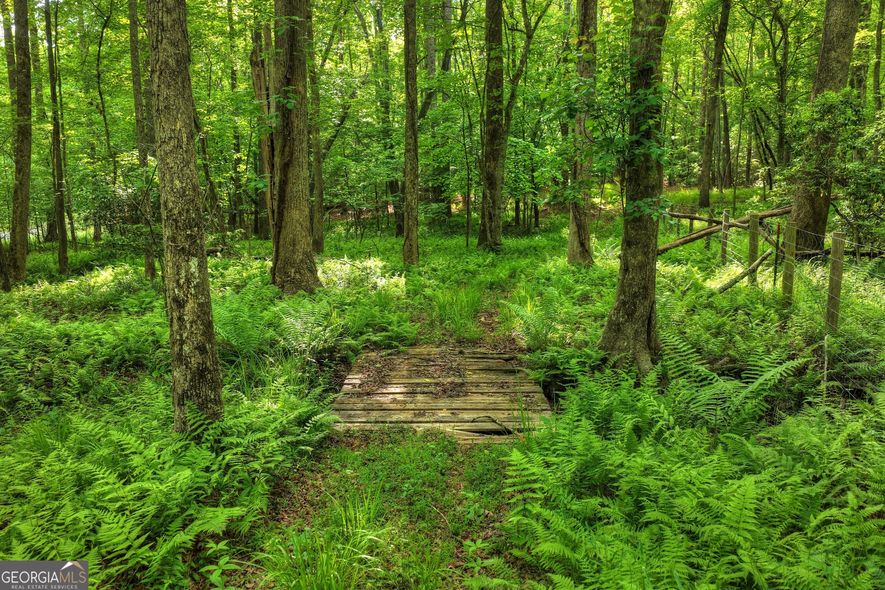 8-ac Mcnelley Road Morganton, GA 30560 - Photo 29 of 47