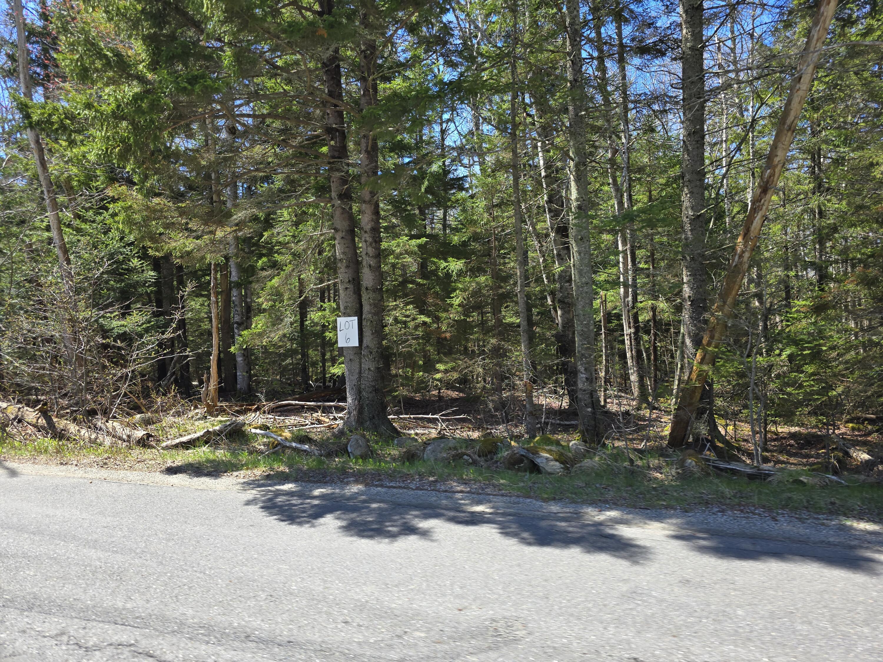 Lot #6 Wallston Road St. George, ME 04860 - Photo 2 of 2 20260507_112452
