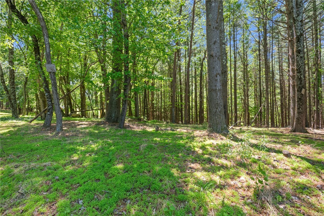 154 Folger Road Sparta, NC 28675 - Photo 30 of 37 a view of outdoor space with deck and yard