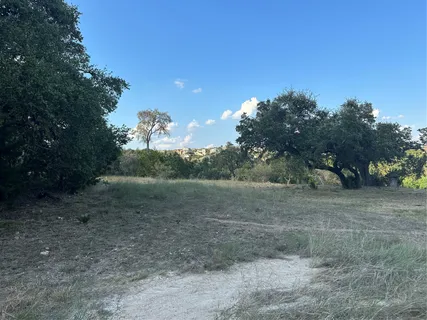 a view of a large yard with lots of tree