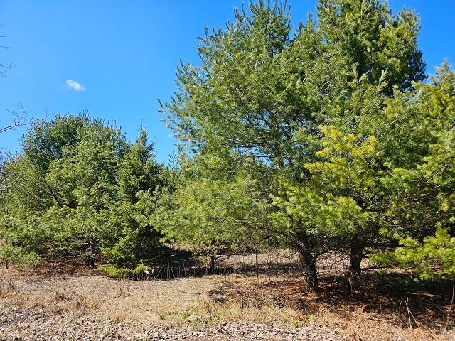 Lot 10 Weber Lake Road Mercer, WI 54547 - Photo 6 of 16 Gallery Image 6