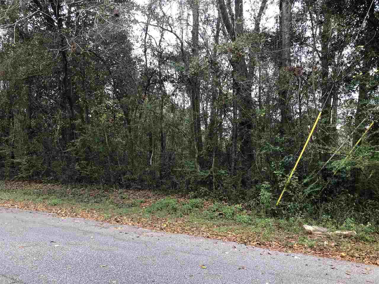 238 Santa Rosa Road Cantonment, FL 32533 - Photo 2 of 8