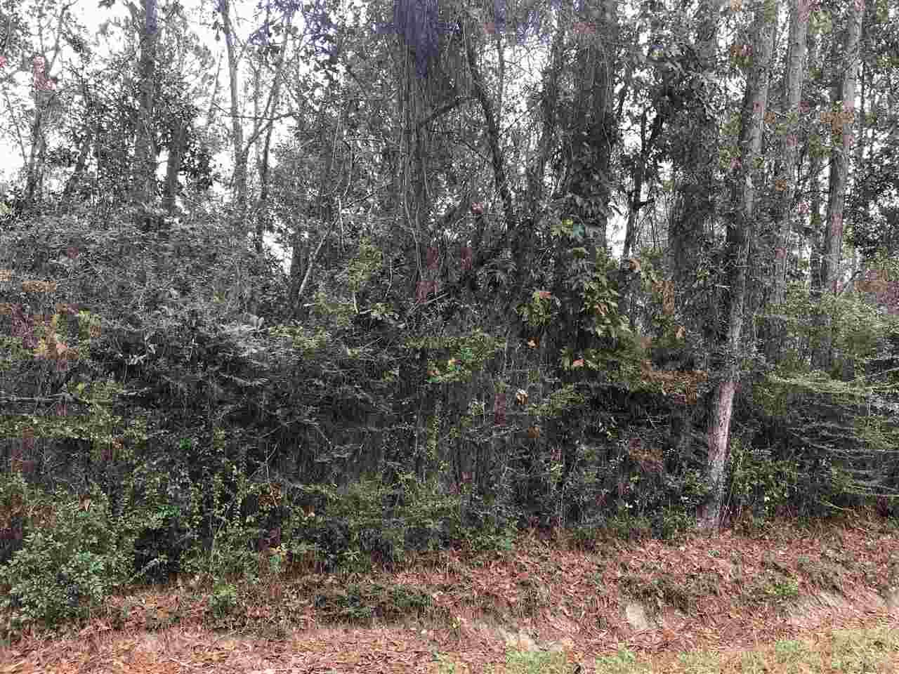238 Santa Rosa Road Cantonment, FL 32533 - Photo 7 of 8