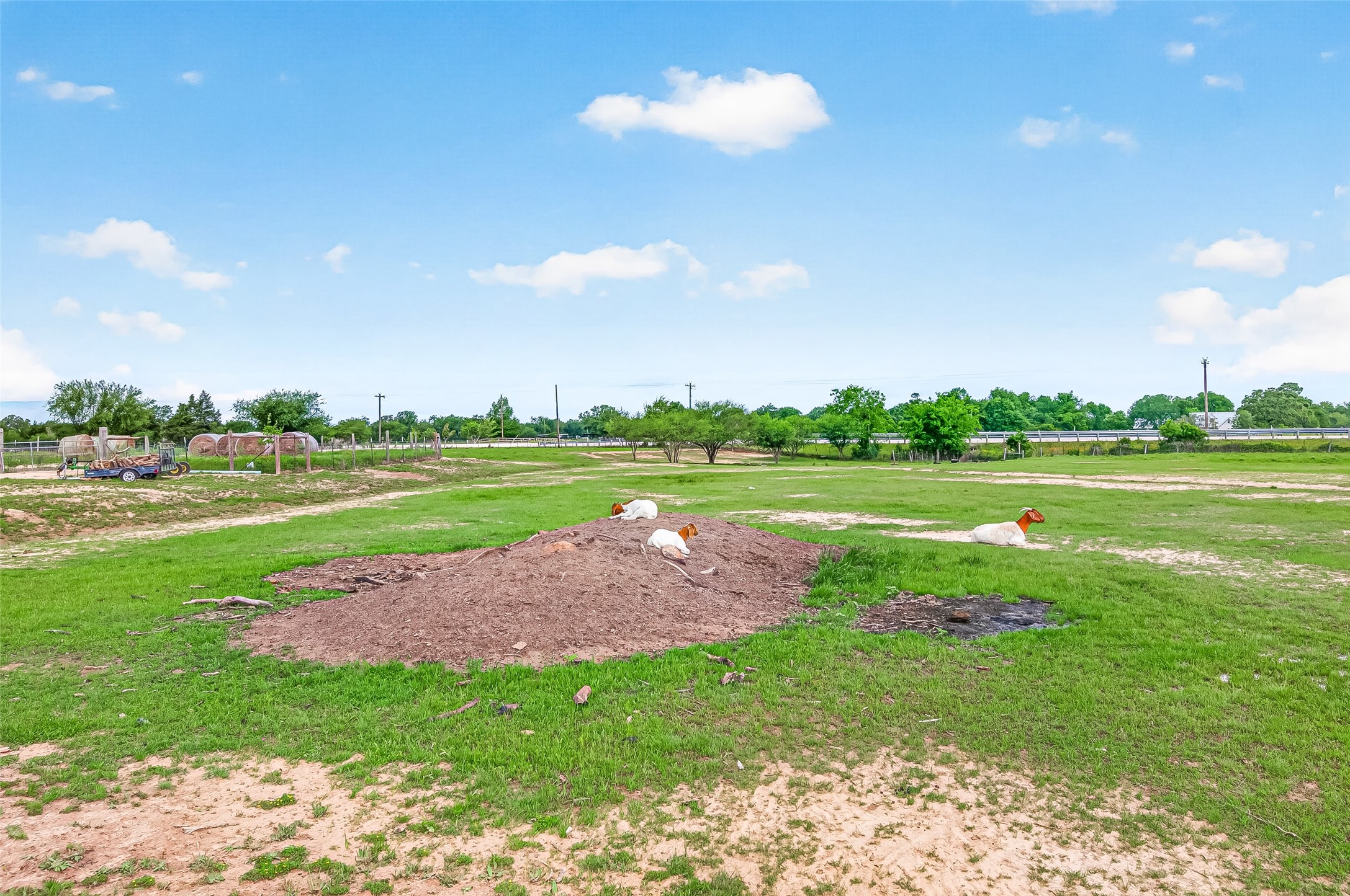 12893 Farm To Market 1887 Hempstead, TX 77445 - Photo 11 of 45