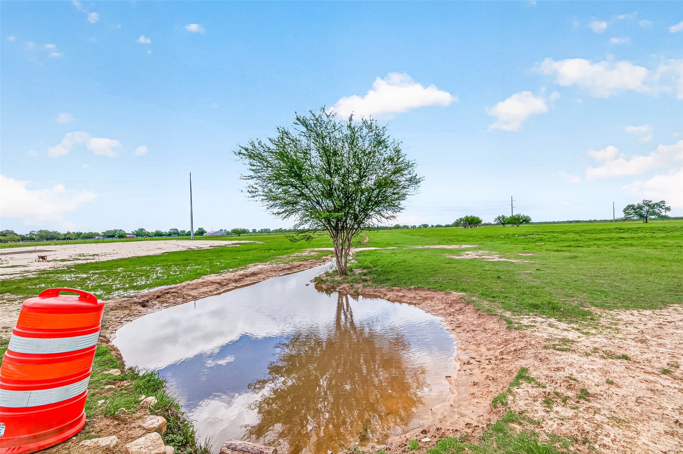 12893 Farm To Market 1887 Hempstead, TX 77445 - Photo 12 of 45