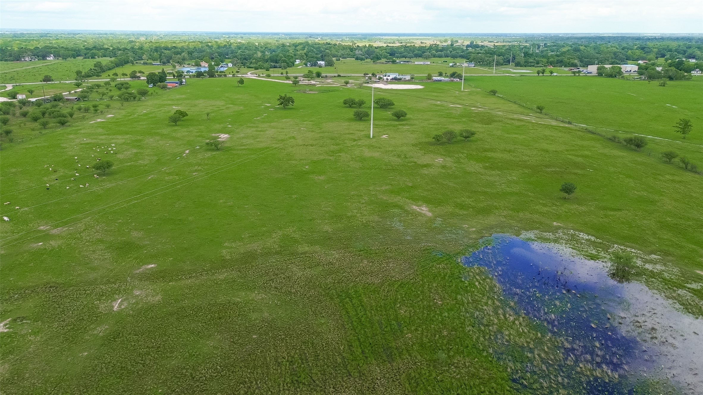 12893 Farm To Market 1887 Hempstead, TX 77445 - Photo 18 of 45