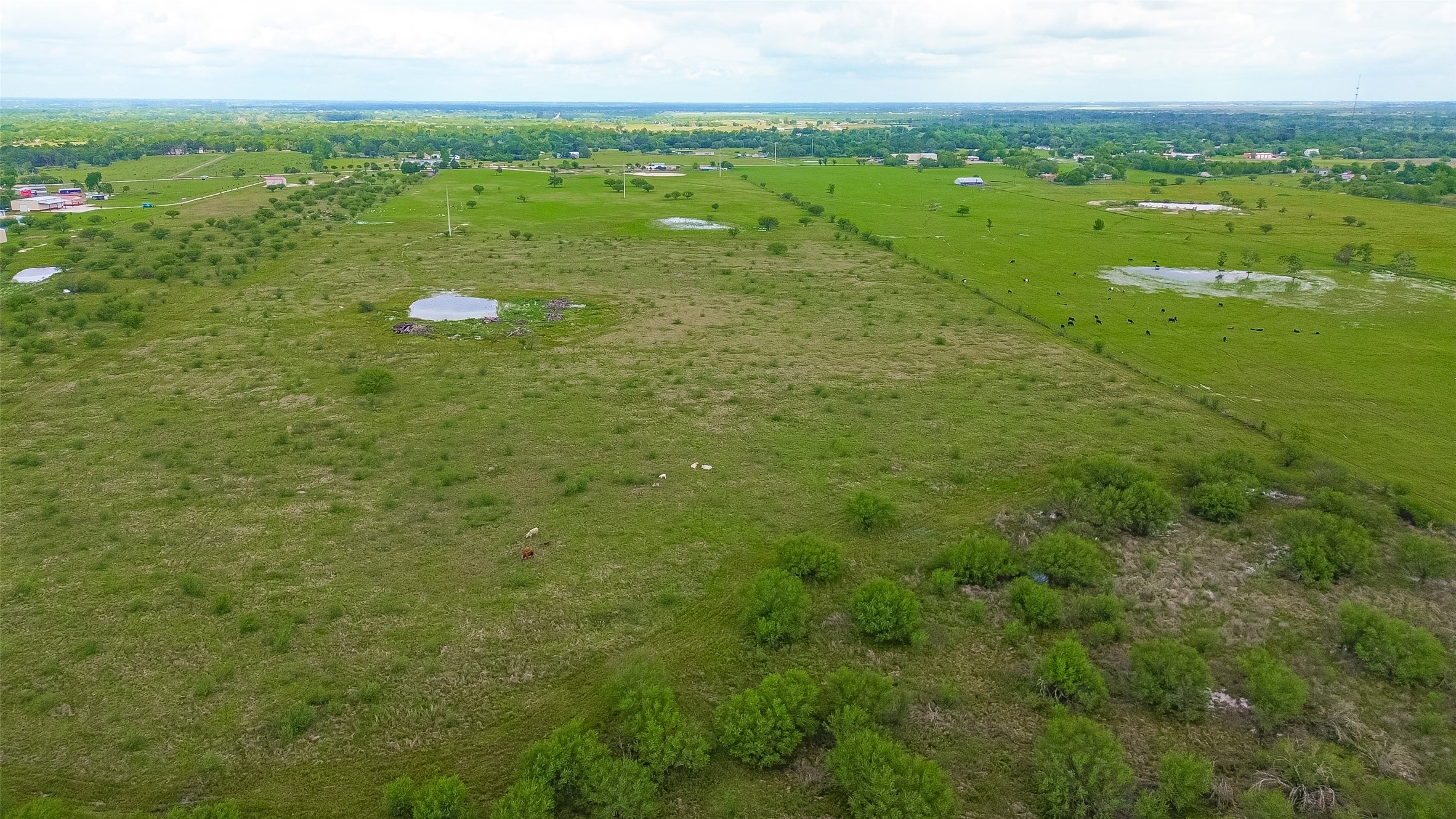 12893 Farm To Market 1887 Hempstead, TX 77445 - Photo 42 of 45