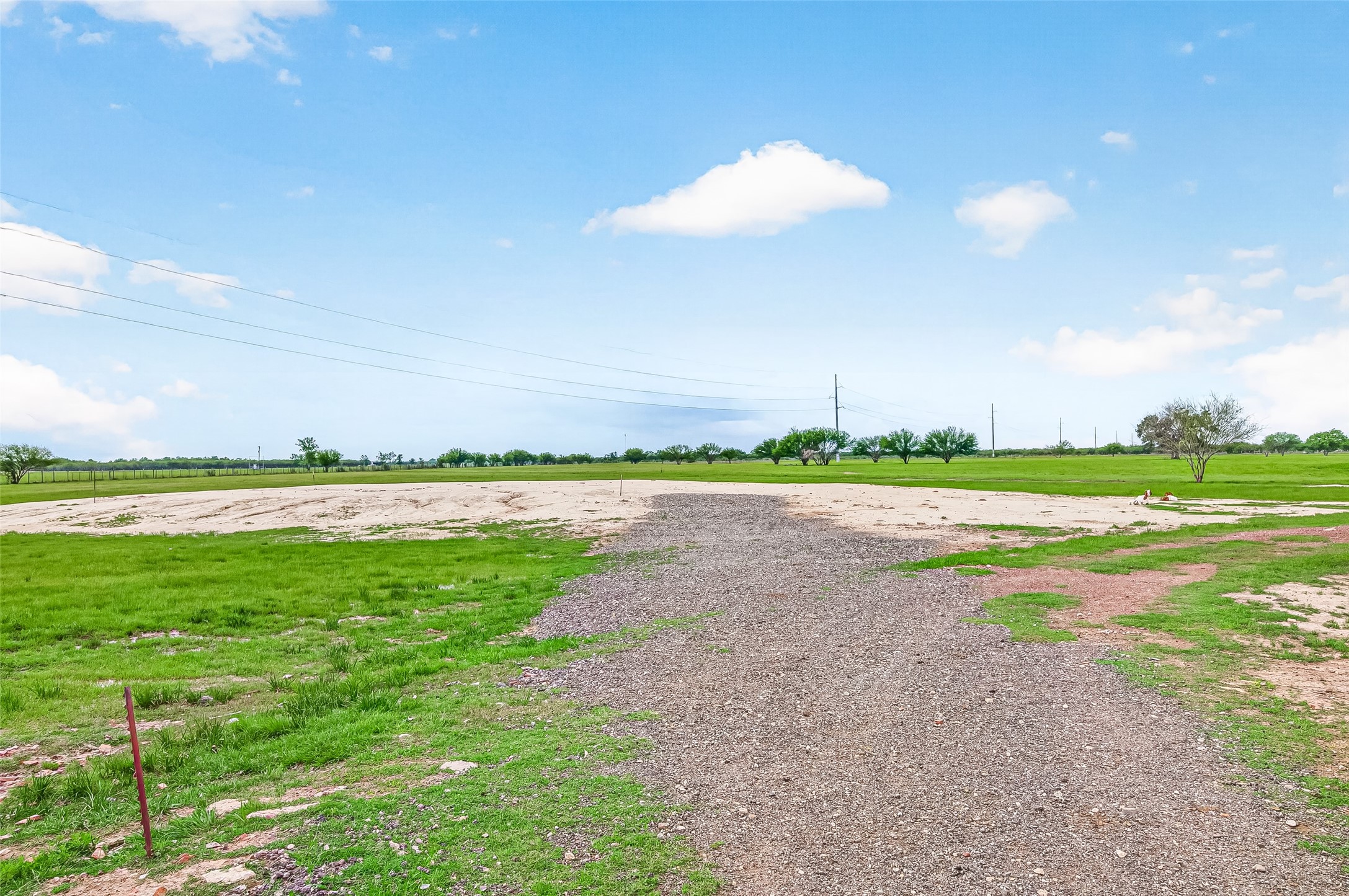 12893 Farm To Market 1887 Hempstead, TX 77445 - Photo 6 of 45