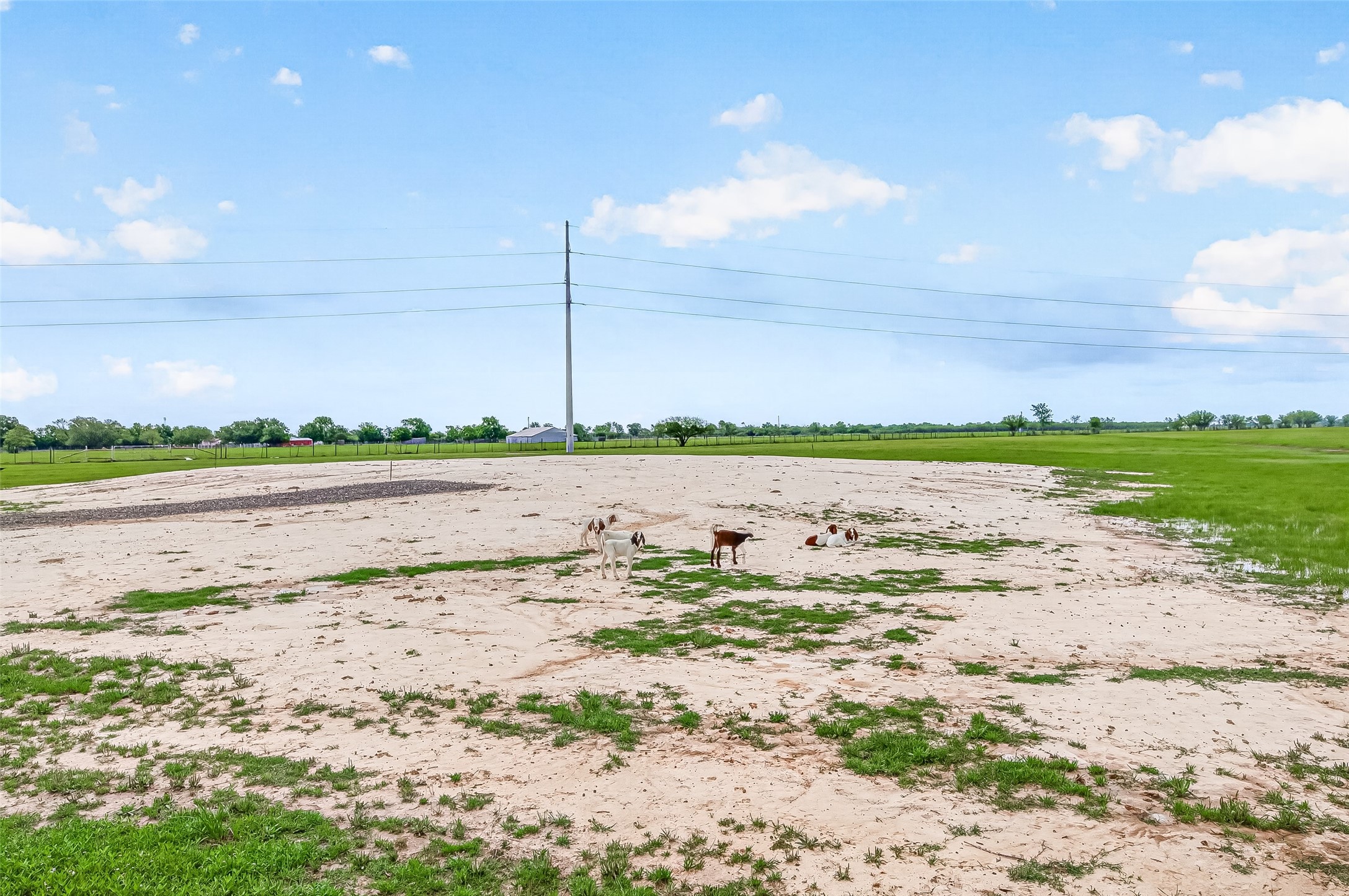 12893 Farm To Market 1887 Hempstead, TX 77445 - Photo 10 of 45
