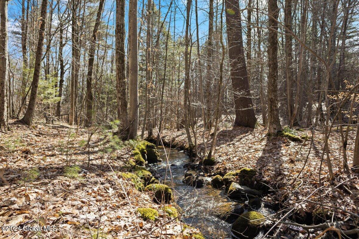 639 Coy Road Greenfield, NY 12833 - Photo 2 of 55 09-IMG_6119