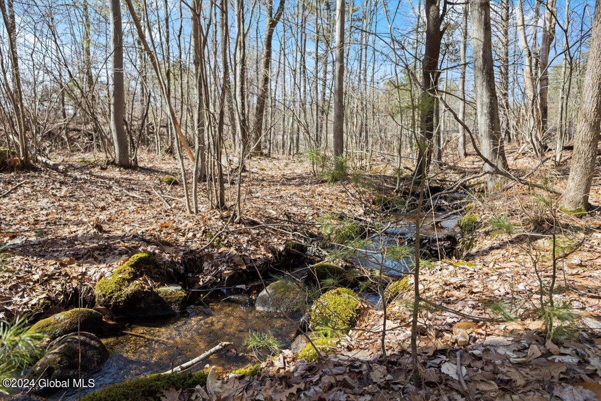 639 Coy Road Greenfield, NY 12833 - Photo 44 of 55 08-IMG_6116