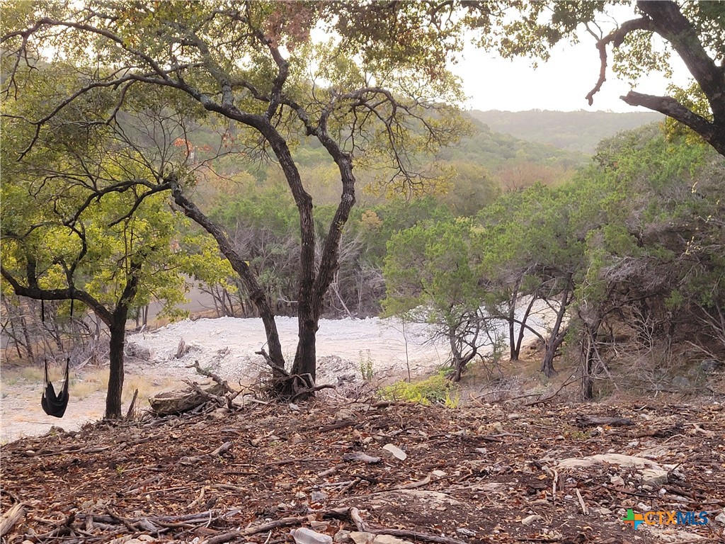 6499 Hood Trail Belton, TX 76513 - Photo 2 of 10 a view of a backyard with large trees