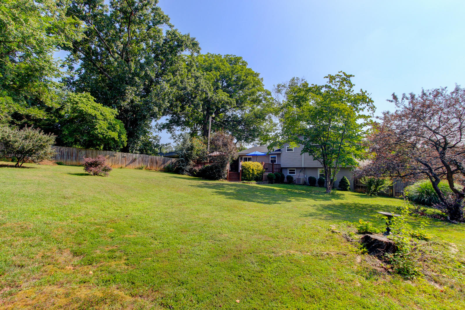 3105 Silverwood Road Knoxville, TN 37921 - Photo 17 of 20 17 Backyard - fenced!