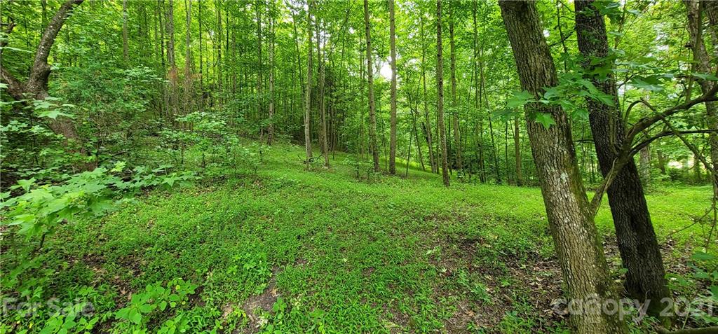 0 Hoffman Road, Unit PARCEL 2 Lincolnton, NC 28092 - Photo 20 of 30 Gallery Image 20