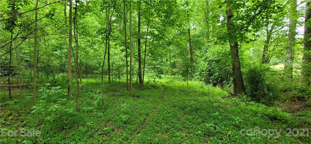 0 Hoffman Road, Unit PARCEL 2 Lincolnton, NC 28092 - Photo 22 of 30 Gallery Image 22