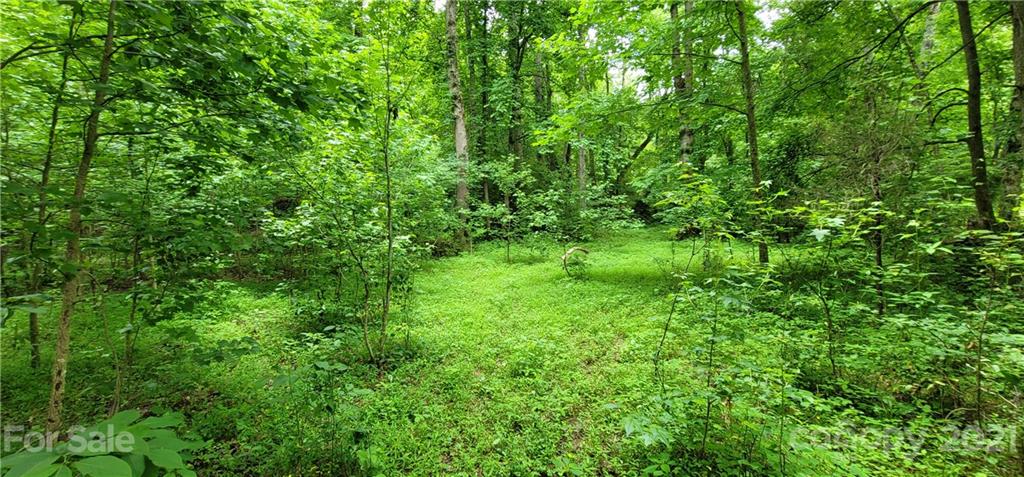 0 Hoffman Road, Unit PARCEL 2 Lincolnton, NC 28092 - Photo 23 of 30 Gallery Image 23