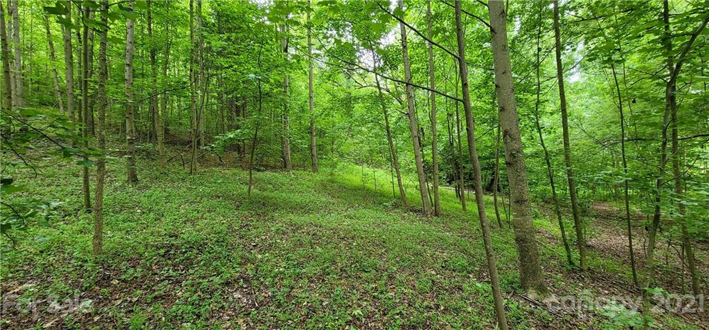 0 Hoffman Road, Unit PARCEL 2 Lincolnton, NC 28092 - Photo 24 of 30 Gallery Image 24