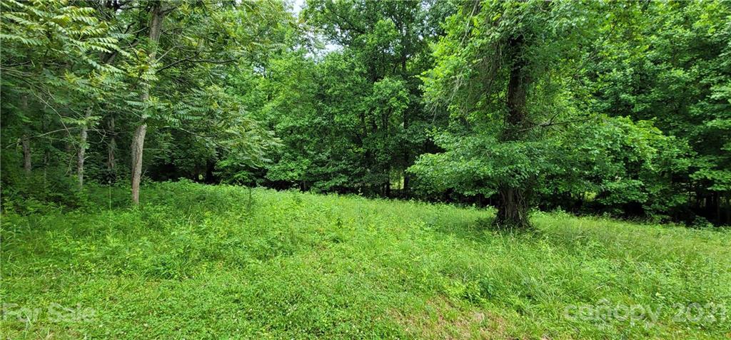 0 Hoffman Road, Unit PARCEL 2 Lincolnton, NC 28092 - Photo 28 of 30 Gallery Image 28