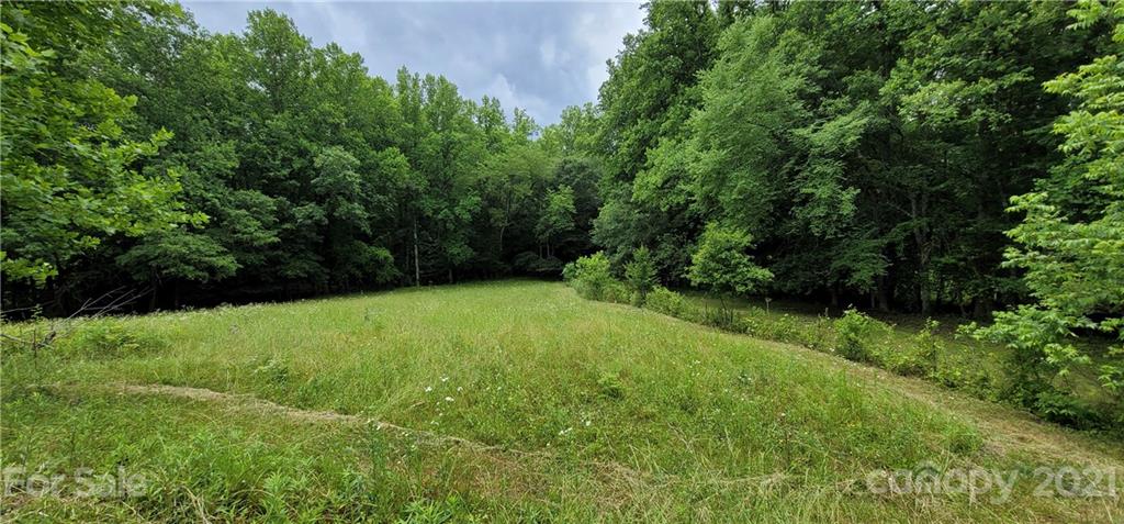 0 Hoffman Road, Unit PARCEL 2 Lincolnton, NC 28092 - Photo 8 of 30 Gallery Image 8