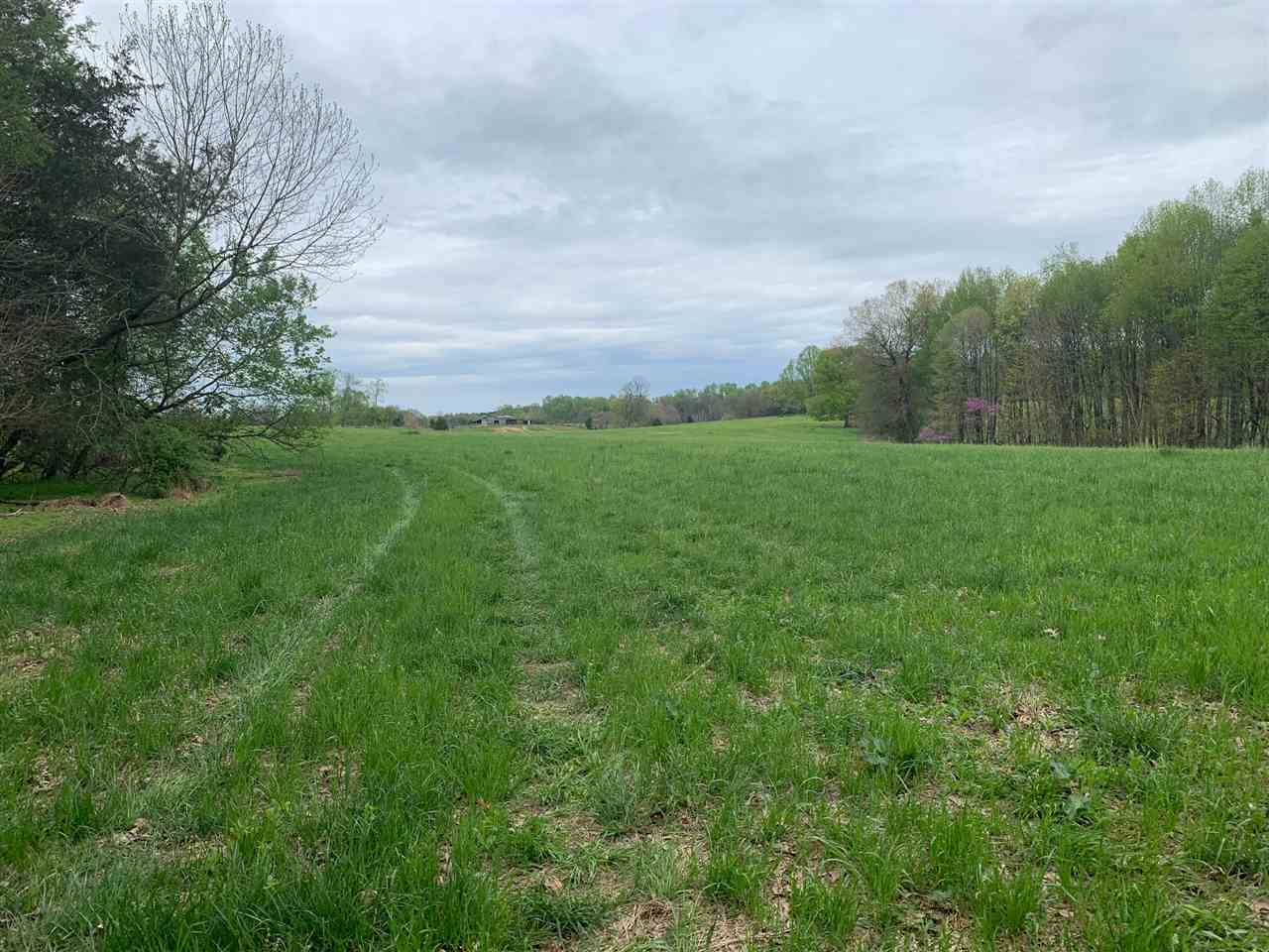 0 Kelly Veach Road Fountain Run, KY 42133 - Photo 1 of 13 Gallery Image 1
