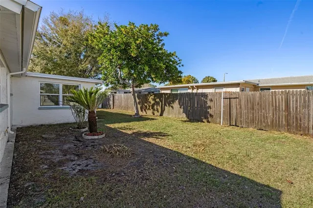 a view of a backyard with a tree
