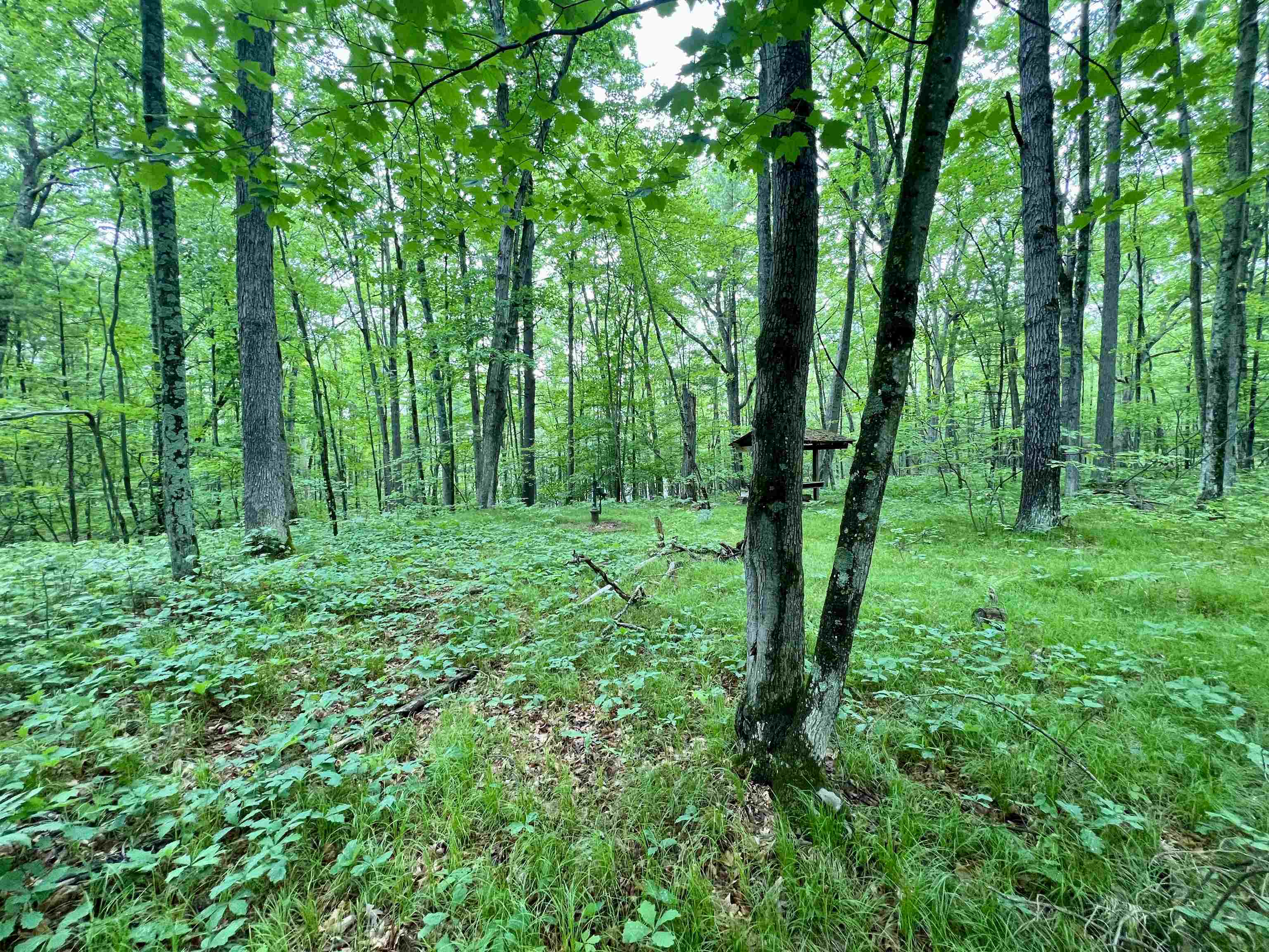 County P Road, Unit 1 Pound, WI 54161 - Photo 10 of 16