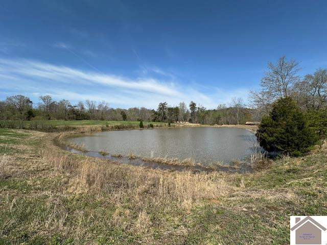 0 Markham Road Dawson Springs, KY 42408 - Photo 4 of 9 Photo 4