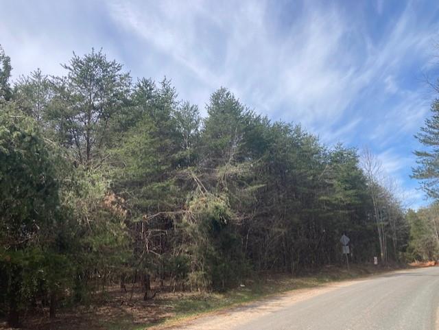617 Banton Shop Road, Unit B Dillwyn, VA 23936 - Photo 1 of 2 Gallery Image 1