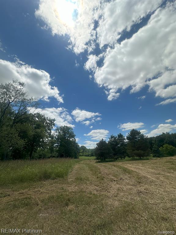 Lot Linden Linden Road Fenton, MI 48430 - Photo 1 of 1