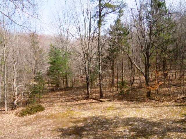 8581 Greenbrier Road Lake Ann, MI 49650 - Photo 4 of 23 1783833-3.JPG