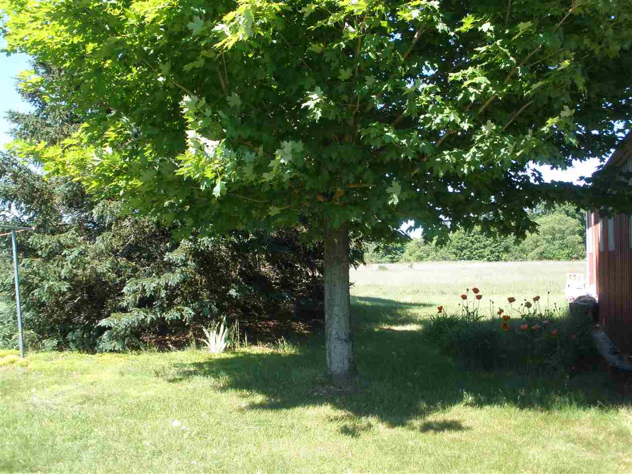 838 South Zimmerman Road Beulah, MI 49617 - Photo 21 of 24 1801583-20.JPG