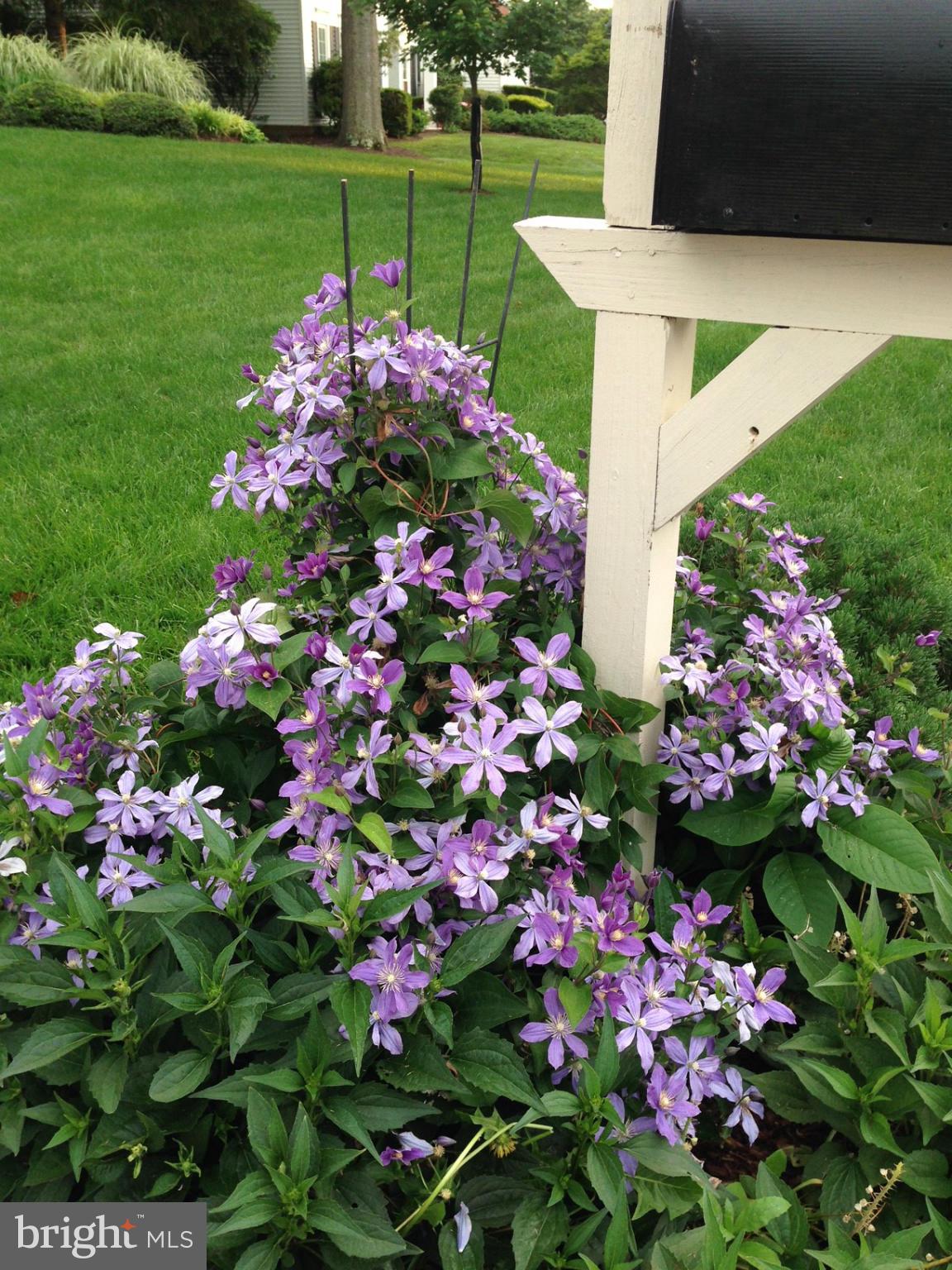 9204 Wooden Bridge Road Potomac, MD 20854 - Photo 22 of 22 Exterior (General)