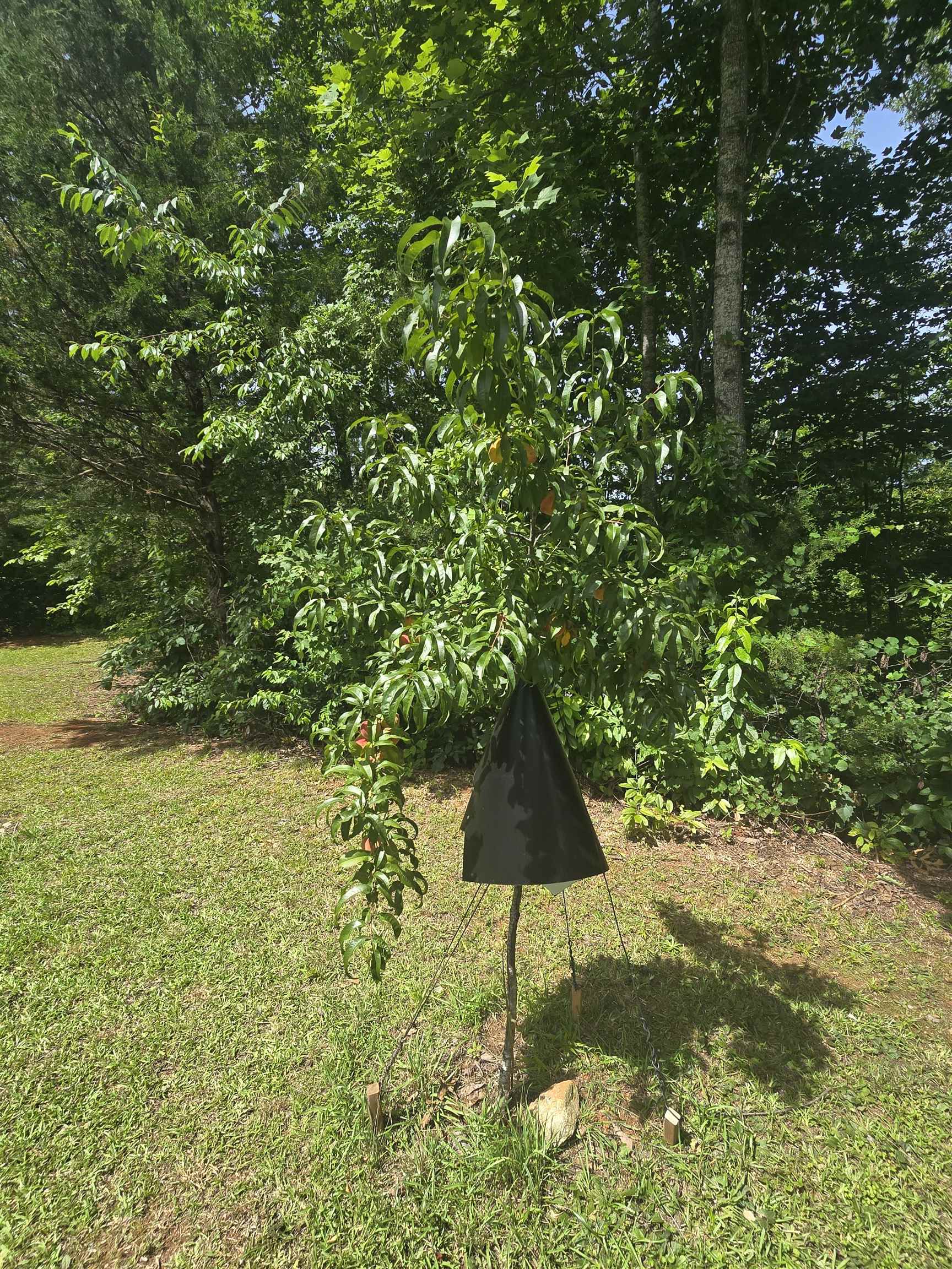 295 Range Trail Cleveland, SC 29635 - Photo 39 of 40